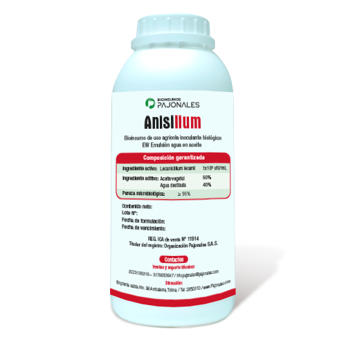 producto anisiilum