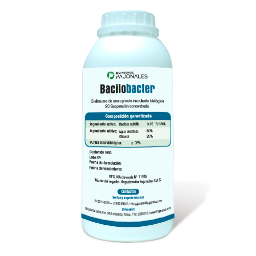 producto bacilobacter